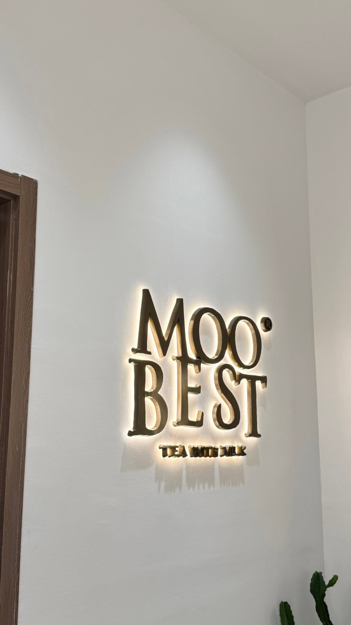 MOOBEST