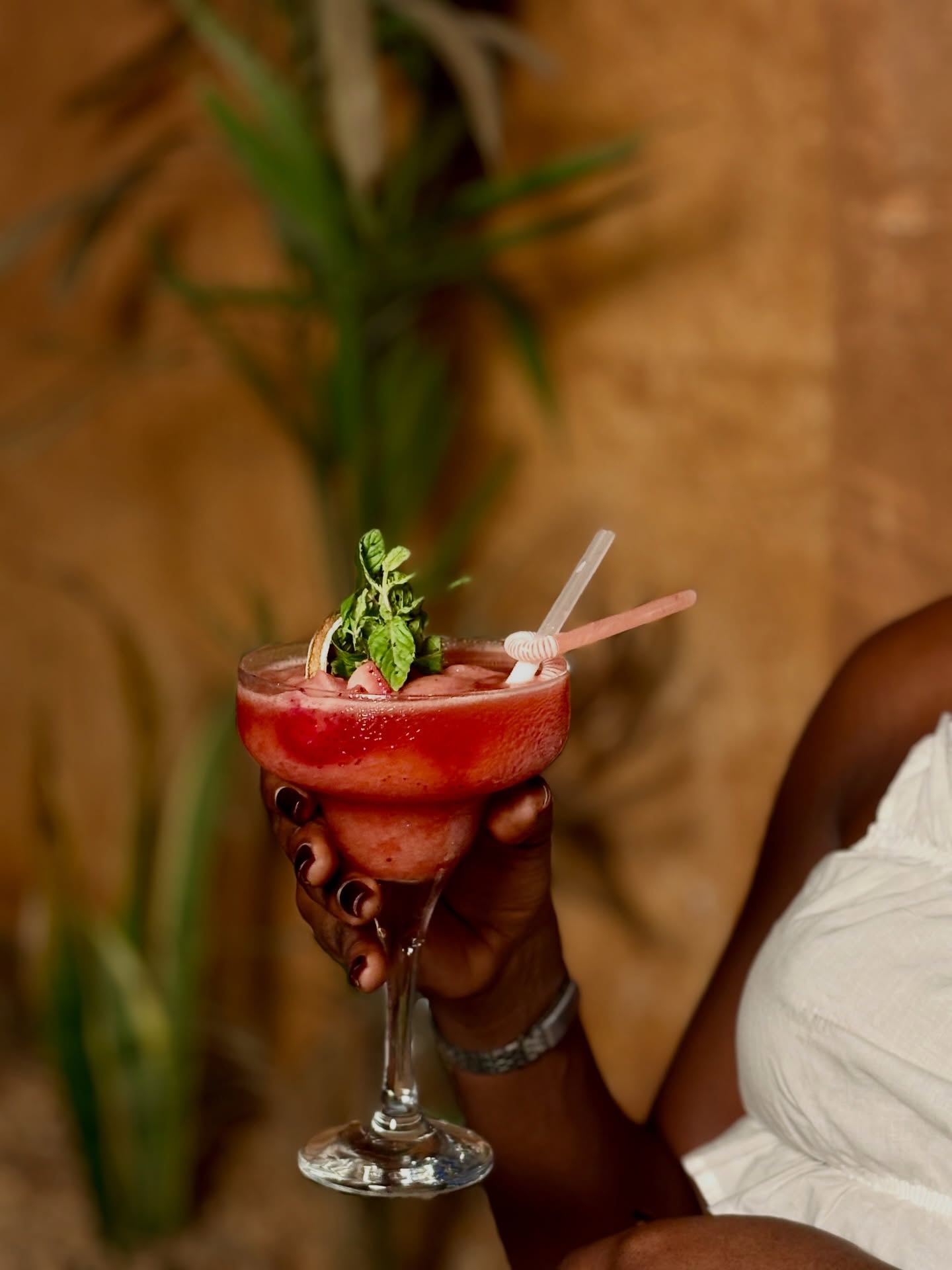 NOVA Grill Abidjan